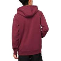 Photo #987 du produit Sweat homme CLUB PRO Rouge - VANS