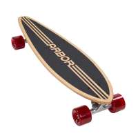 Photo #1127 du produit Skateboard Arbor Cruiser Complete Micron Hawkshaw Multi 29 IN