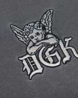 Photo #2498 du produit Sweat à capuche DGK RESTLESS EMBROIDERED HOODED FLEECE