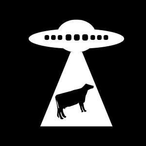 plus de FUN & DIVERS