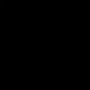 logo de NATIVE
