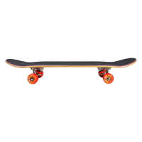 Photo #3861 du produit Skateboard enfant Speed Demons Hot Shot Mini 6.75