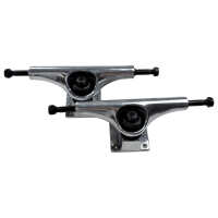 Photo #3937 du produit Set de 2 Trucks skateboard Hydroponic 5.5 Argent