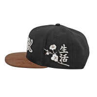 Photo #4066 du produit Casquette DGK Zion Snapback - Black