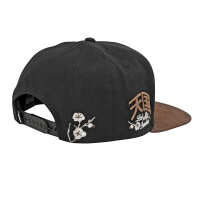 Photo #4067 du produit Casquette DGK Zion Snapback - Black